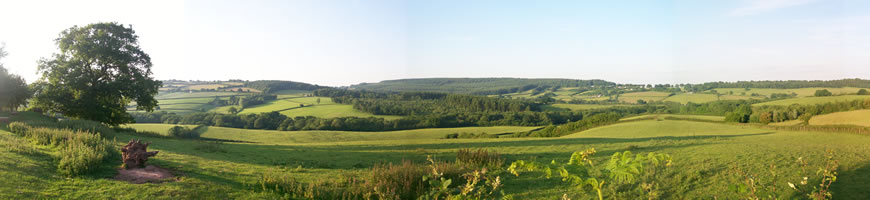 View from Bryn Cosyn
